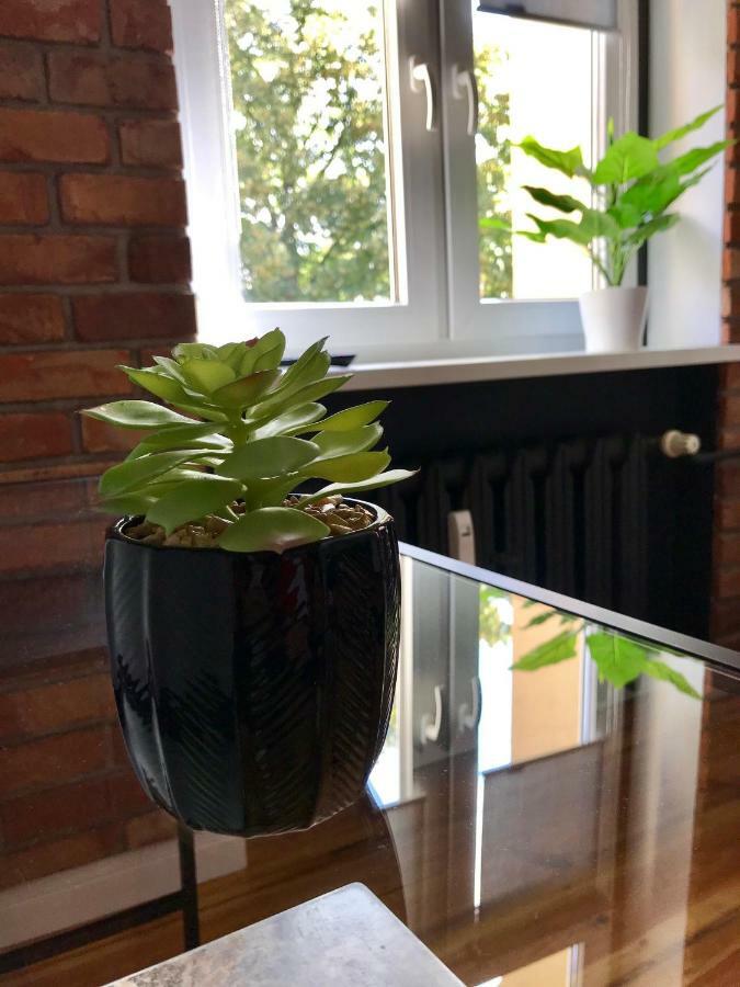 Apartament Odrzanka Gryfino Eksteriør billede